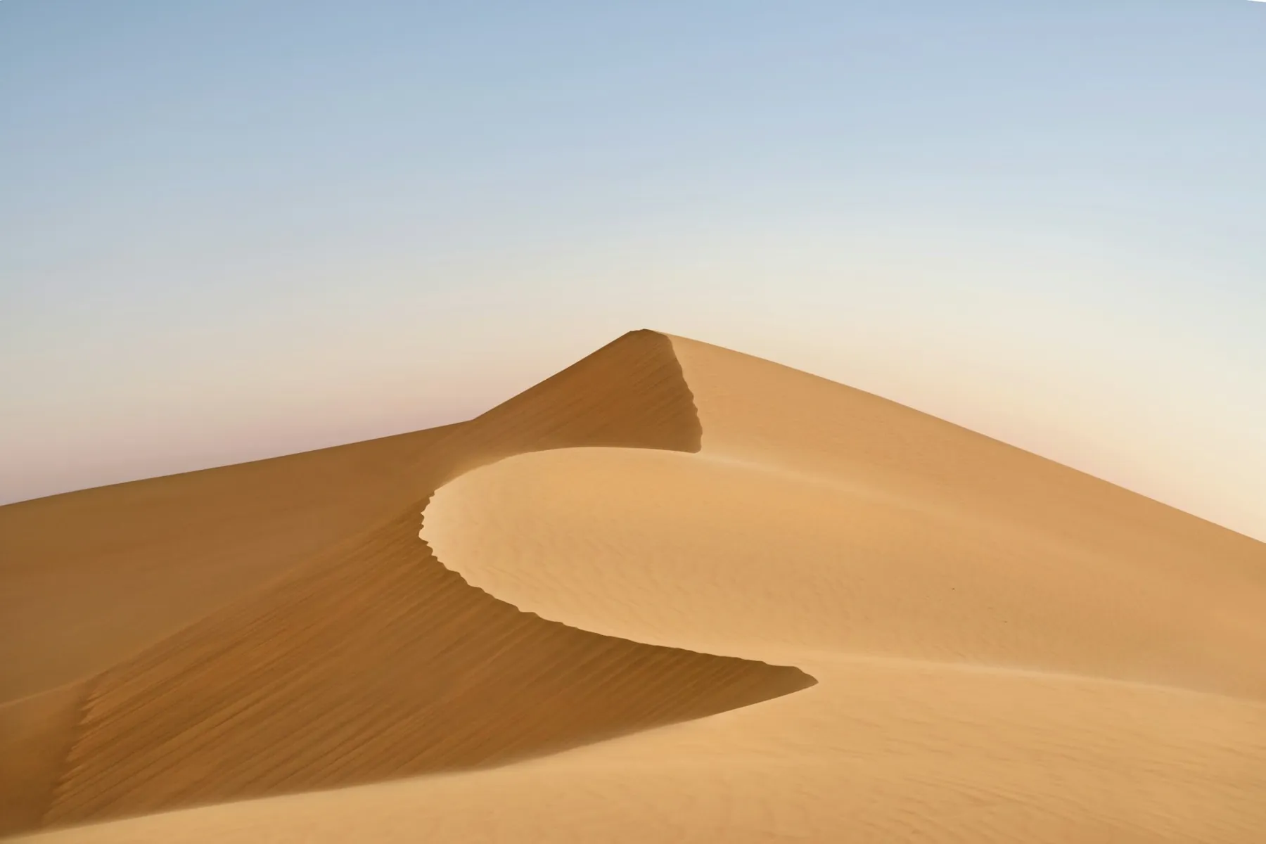 The soft curve of a sand dune.