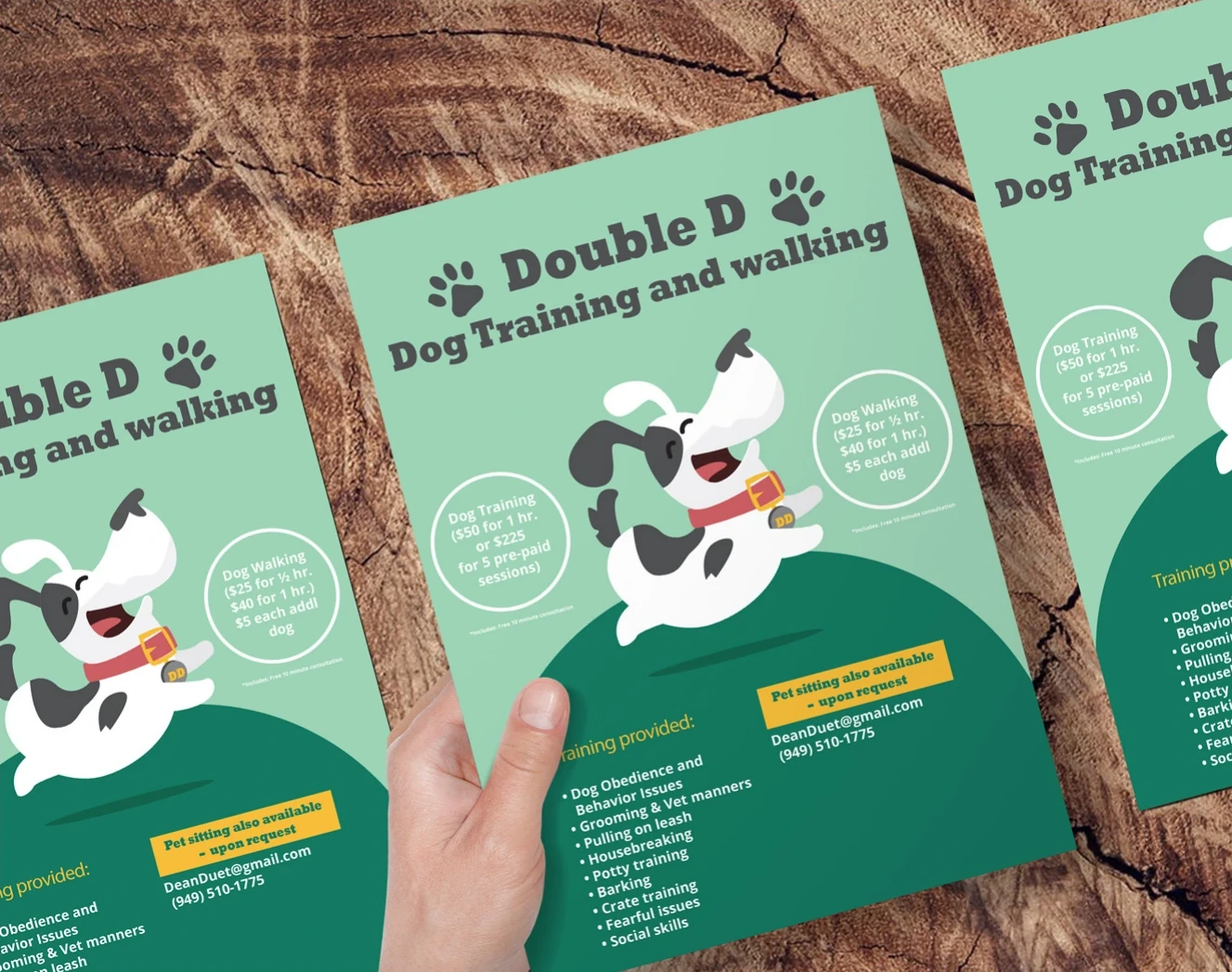 Double D dog training flyers in teal.