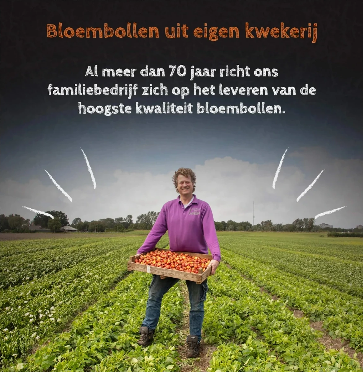 Flowerbulbs Amsterdam post with a farmer in a tulip field.