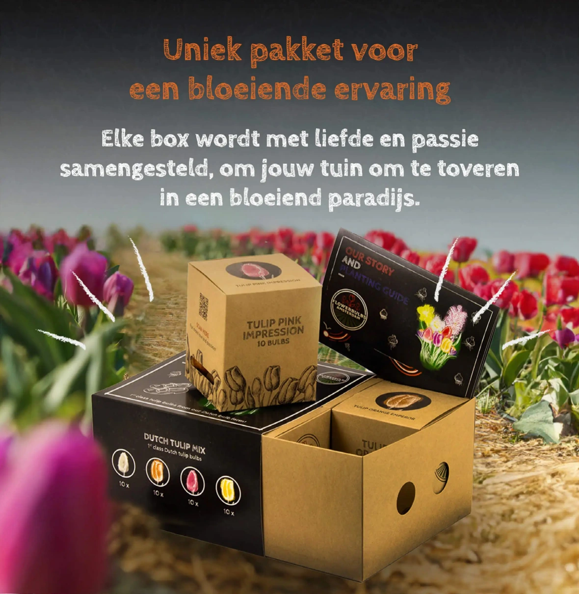 Flowerbulbs Amsterdam gift package post.